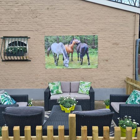 King Of Gold Stables Appartement Met Stalling Voor 5 Paarden Zutendaal Exterior photo