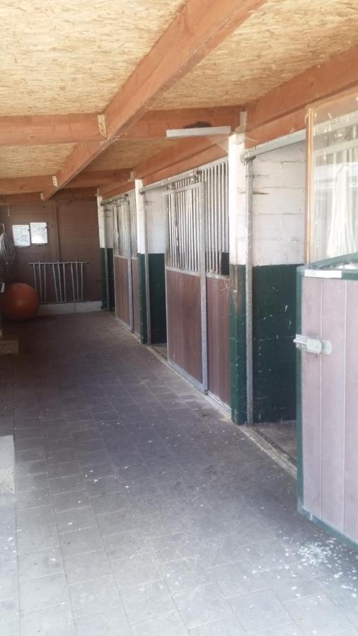King Of Gold Stables Appartement Met Stalling Voor 5 Paarden Zutendaal Exterior photo