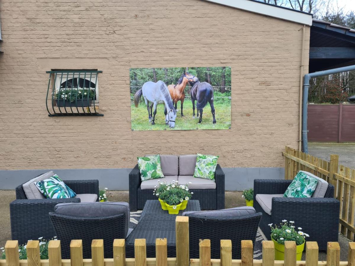 King Of Gold Stables Appartement Met Stalling Voor 5 Paarden Zutendaal Exterior photo