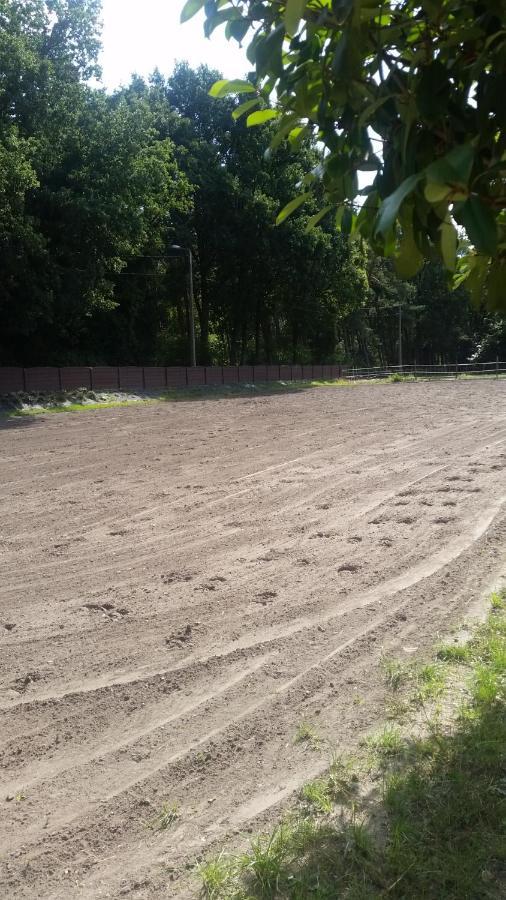 King Of Gold Stables Appartement Met Stalling Voor 5 Paarden Zutendaal Exterior photo