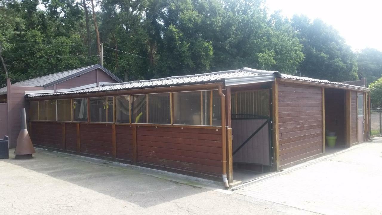 King Of Gold Stables Appartement Met Stalling Voor 5 Paarden Zutendaal Exterior photo