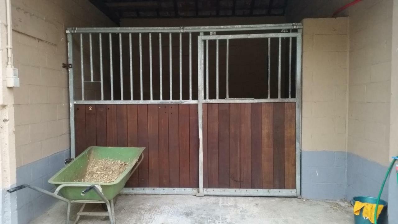 King Of Gold Stables Appartement Met Stalling Voor 5 Paarden Zutendaal Exterior photo