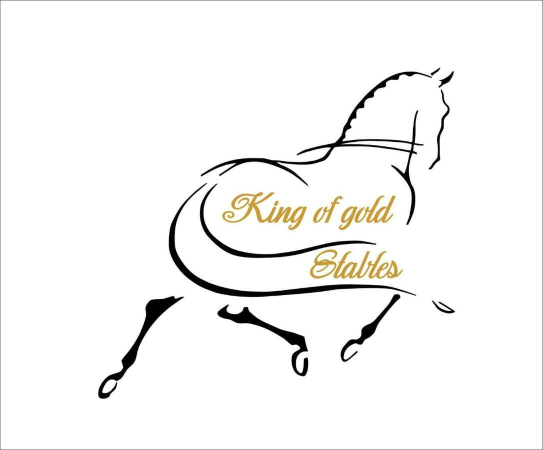 King Of Gold Stables Appartement Met Stalling Voor 5 Paarden Zutendaal Exterior photo